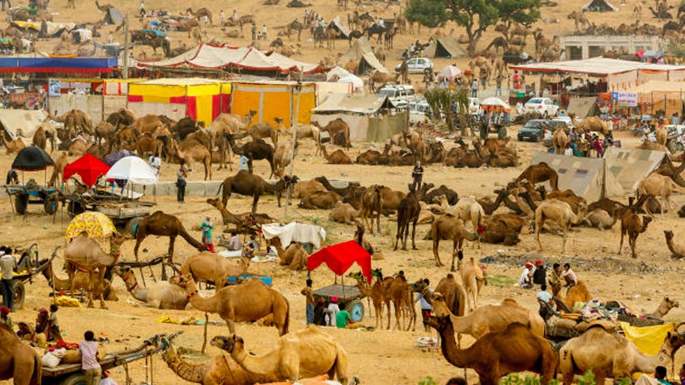 Incredible India