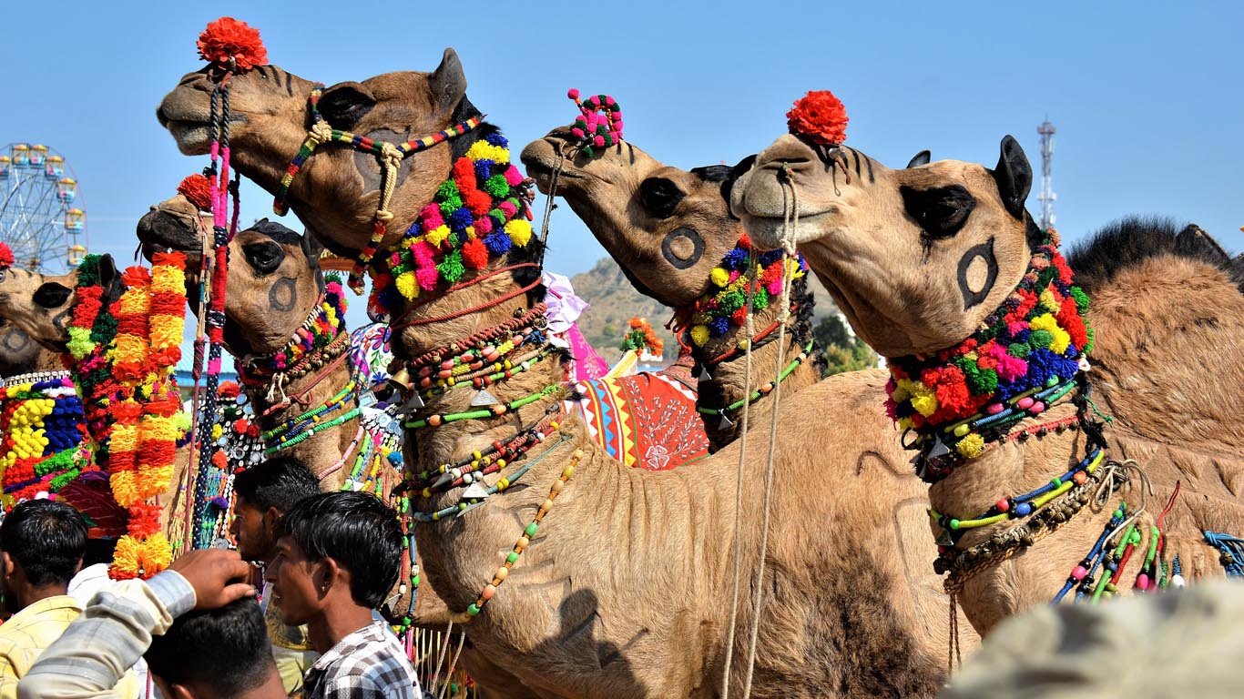 Pushkar Mela